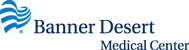 BDMC Logo